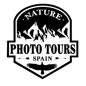Logo Naturephototours